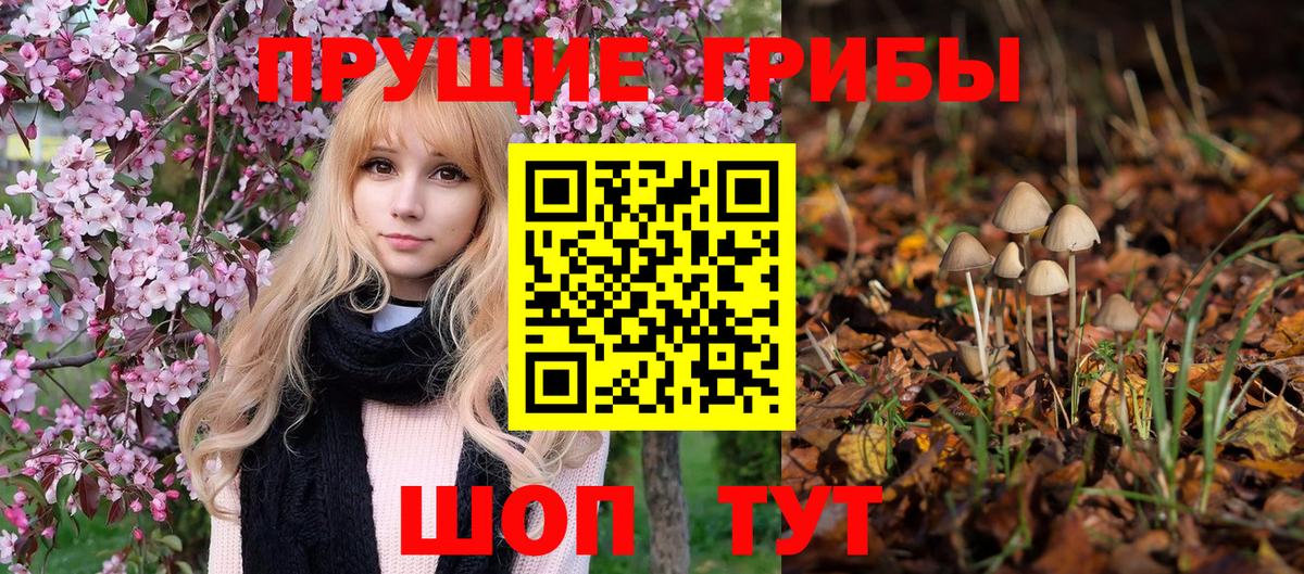 Сочи  Галлюциногенные грибы ЛСД  Вход с VPN  Псилоцибиновые грибы GOLDEN TEACHER 